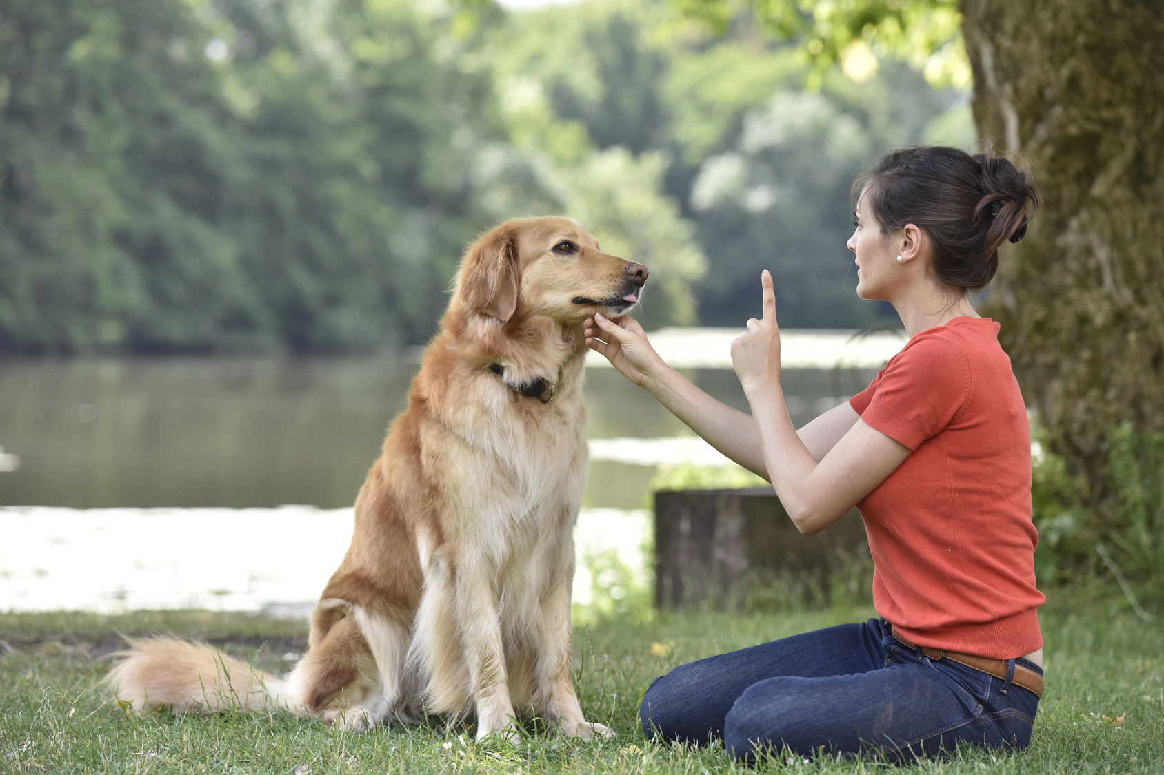 Comment fabriquer un répulsif pour chien ? - Les Astucieux Comment fabriquer un répulsif pour chien ? - Les Astucieux