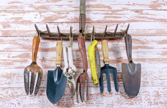 comment venir à bout de la rouille sur vos outils de jardinage ?
