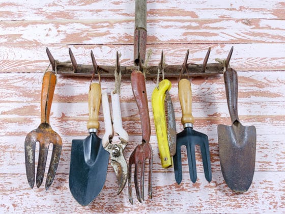 comment venir à bout de la rouille sur vos outils de jardinage ?