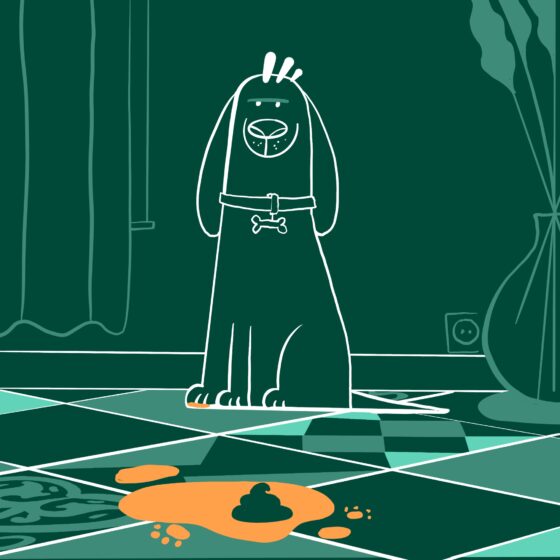 Comment nettoyer des excréments d’animaux sur du lino ?