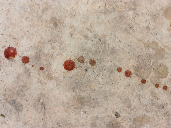 Nettoyer des taches de sang sur cuir, terre cuite ou carrelage