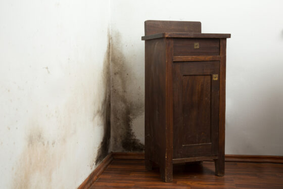 Comment enlever des traces de moisi sur un meuble ?