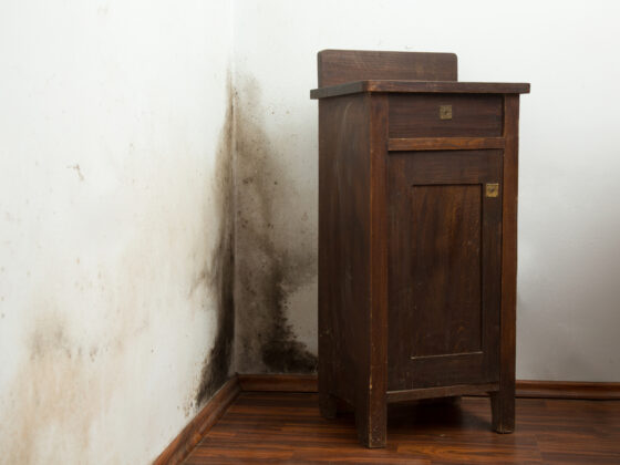 Comment enlever des traces de moisi sur un meuble ?