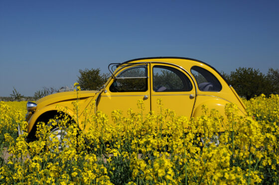 comment nettoyer une capote de voiture en toile ?
