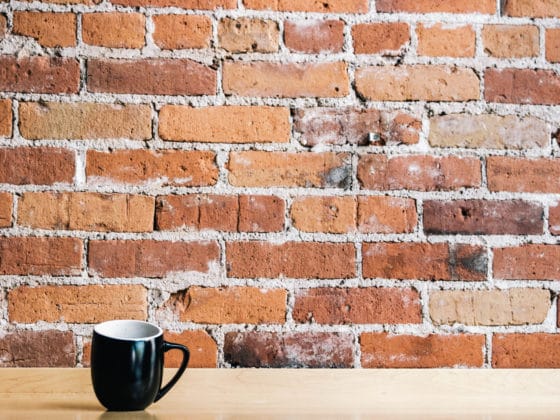 Comment nettoyer un mur extérieur en briques ?