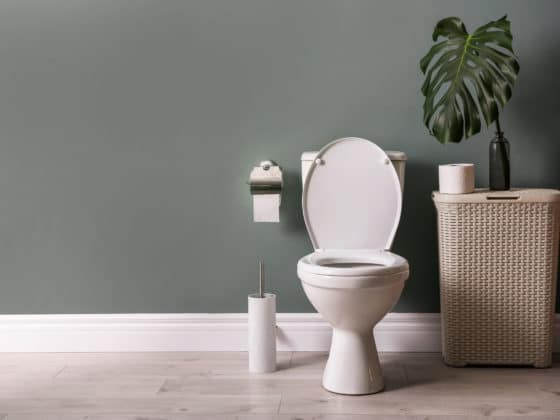 comment nettoyer les taches récalcitrantes dans la cuvette des toilettes ?