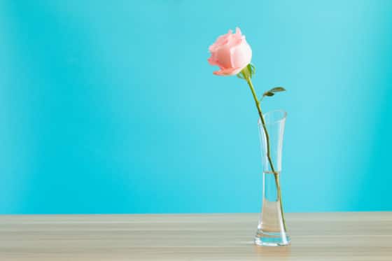 Comment nettoyer un vase étroit (ou une carafe) en verre ?