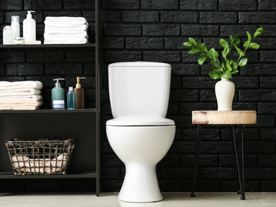 Comment faire vous-même des pastilles effervescentes pour nettoyer vos toilettes ?