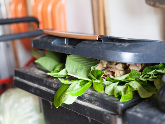 Comment désodoriser un bac poubelle ?