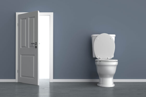 Comment nettoyer naturellement des WC équipés d’une fosse septique ?