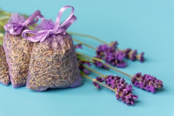 Comment se débarrasser des mites textiles ?