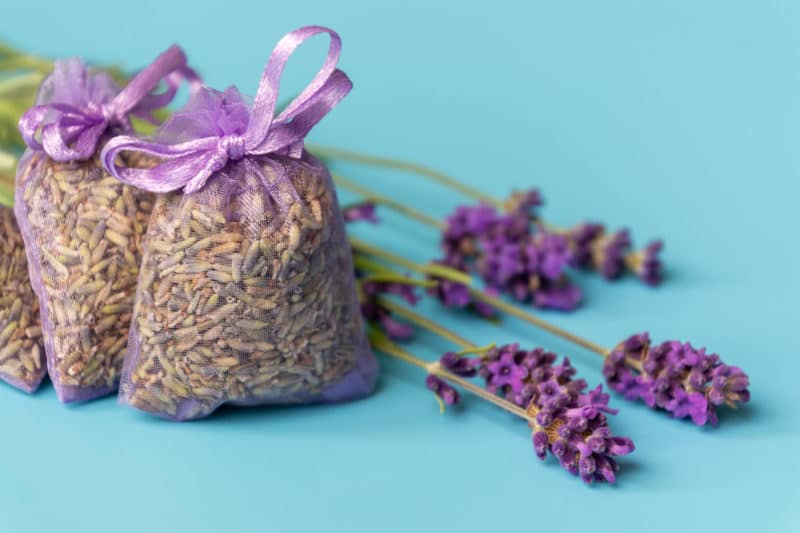 Comment se débarrasser des mites textiles ?