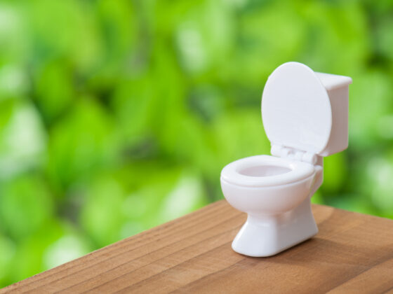 Fabriquez vous-même vos propres blocs WC désodorisants