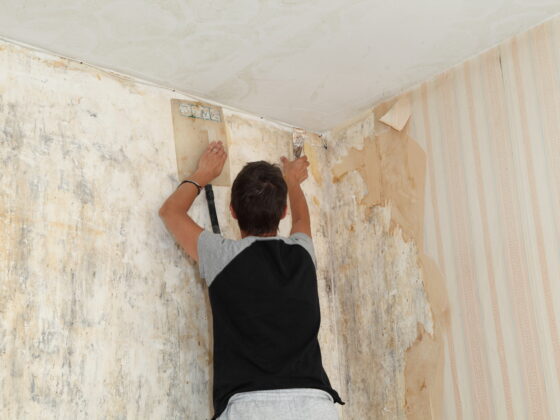 Comment enlever des résidus de colle à papier peint ?