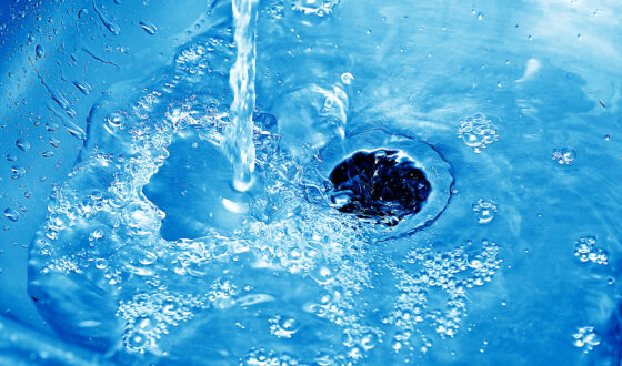 Comment éliminer les moucherons dans vos canalisations ?