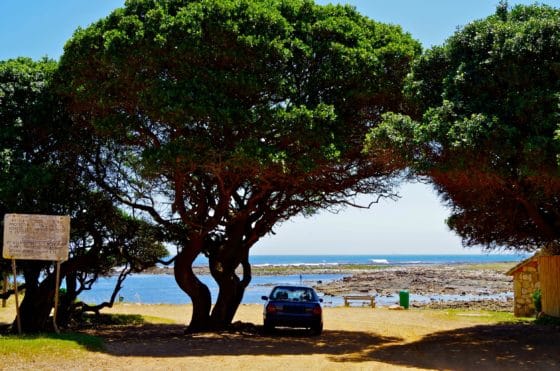 Comment faire partir les dépôts de résine d’arbre sur la carrosserie d’une voiture ?