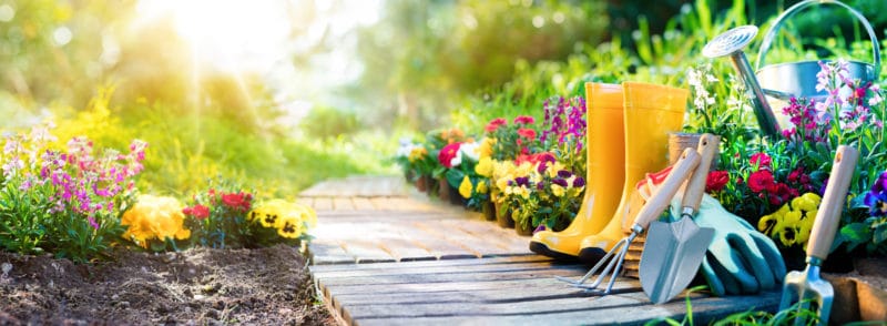Comment nettoyer et désinfecter les outils de jardinage ?