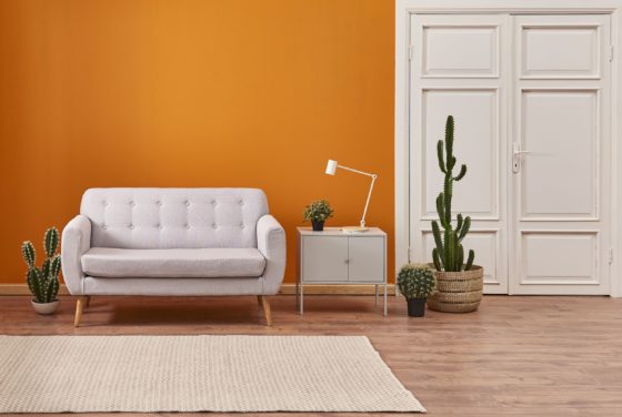 Comment nettoyer un tapis en fibres naturelles ?