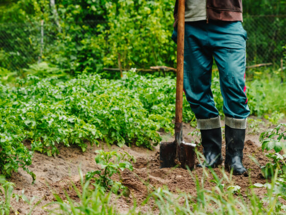 Comment nettoyer un jean très sale ?