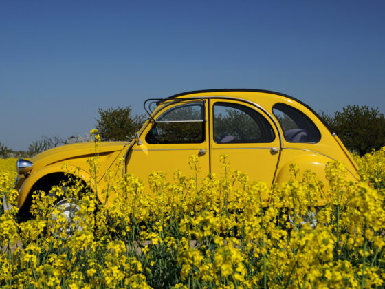 Comment se débarrasser de mousse verte apparue sur une capote de voiture en toile ?