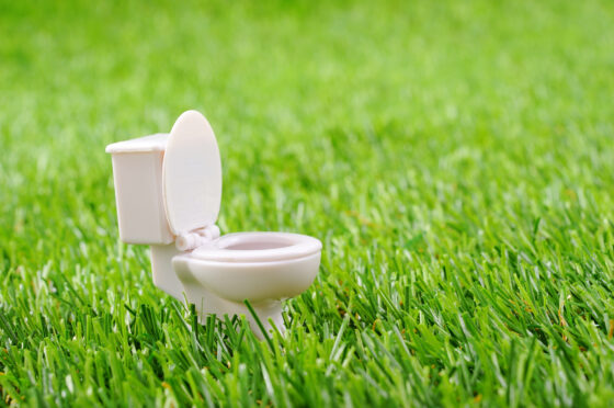 Comment nettoyer vos toilettes de façon écologique ?