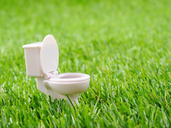 Comment nettoyer vos toilettes de façon écologique ?