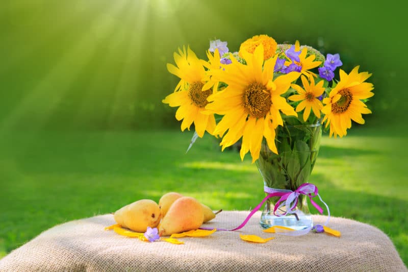 comment nettoyer une tache de pollen de fleur sur un tissu de couleur ?