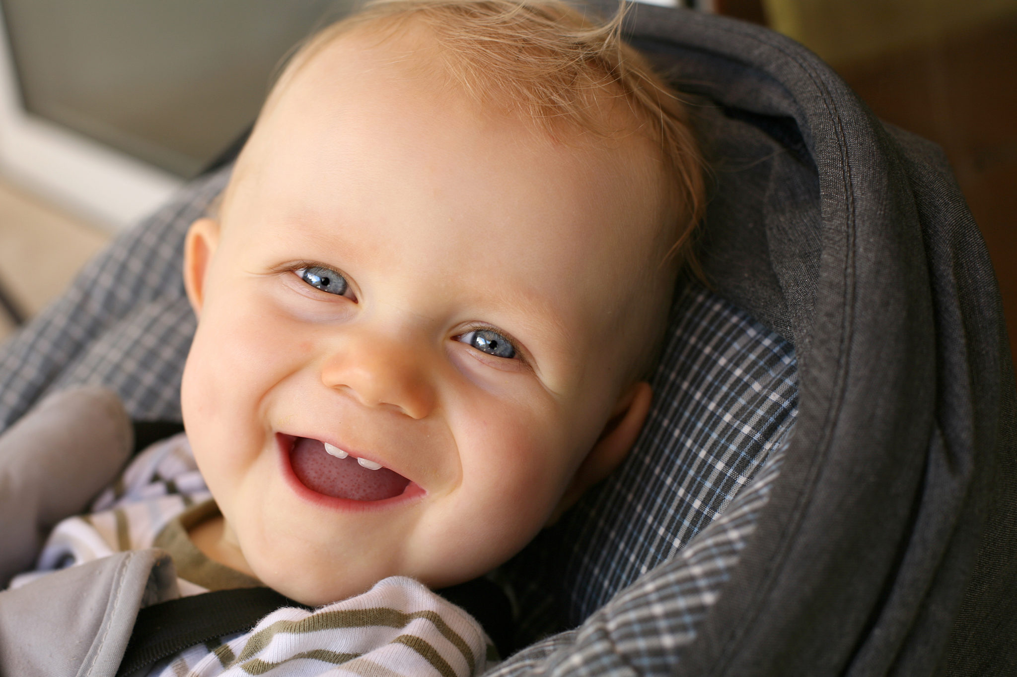 Comment Nettoyer Des Taches De Salive Sur Les Lanieres D Un Siege Auto De Bebe Comment Nettoyer Des Taches De Salive Sur Les Lanieres D Un Siege Auto De Bebe