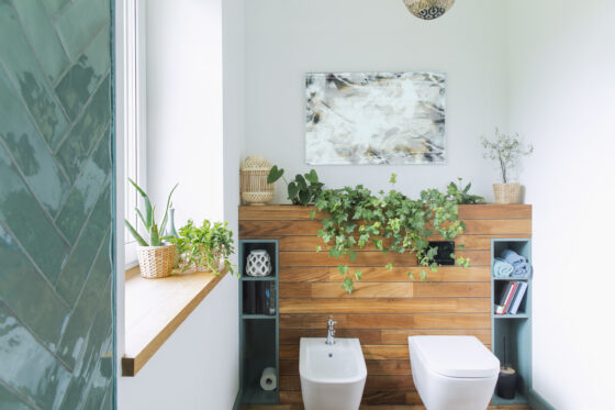Comment nettoyer de façon écologique le fond de la cuvette de vos toilettes ?