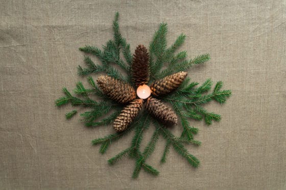 Comment faire partir de la résine ou de la sève de sapin d'un tissu ?