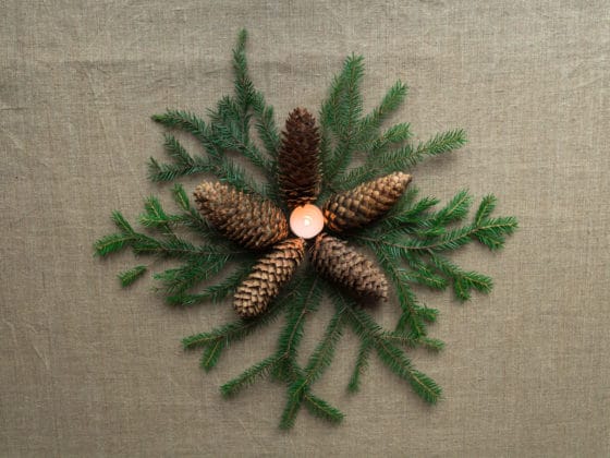 Comment faire partir de la résine ou de la sève de sapin d'un tissu ?