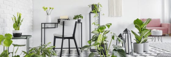 http://www.les-astucieux.com/comment-nettoyer-des-traces-noires-laissees-par-des-semelles-de-chaussures-sur-du-lino/