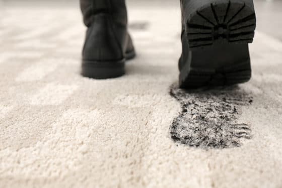 Comment nettoyer des taches de boue sur de la moquette ?