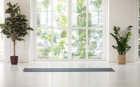 Comment fabriquer vous-même un liquide pour nettoyer les vitres qui éloignera mouches et araignées ?