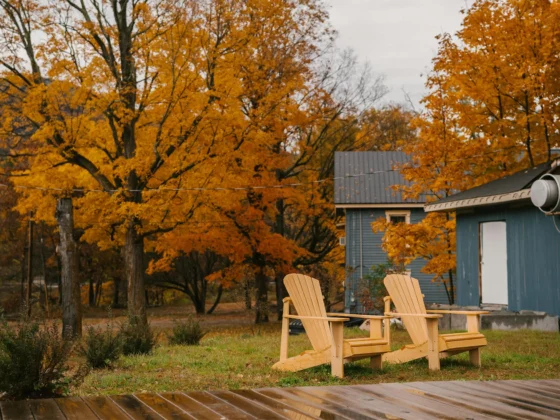 Terrasse en bois en automne
