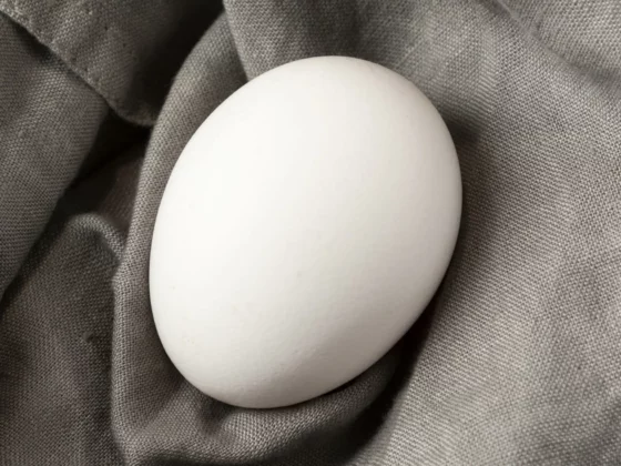 Oeuf posé sur un tissu