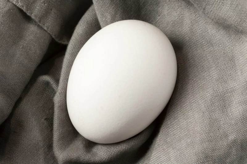 Oeuf posé sur un tissu